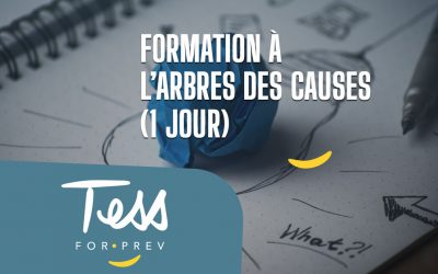 Formation Larbre Des Causes Jour